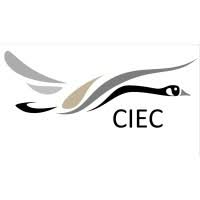 CANADIAN INTERNATIONAL ENERGY CORP CANADIAN INTERNATIONAL ENERGY CORP